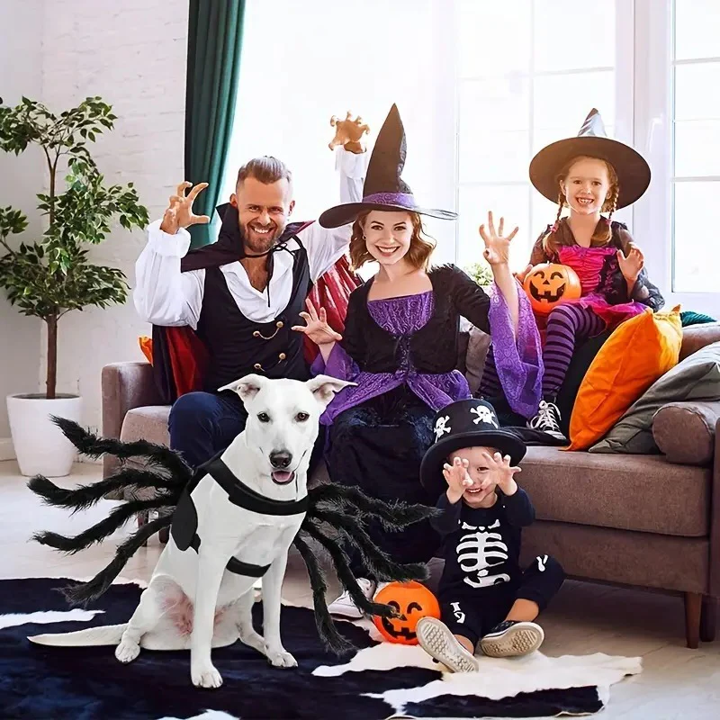 Whimsical Spider Outfit for Pets
