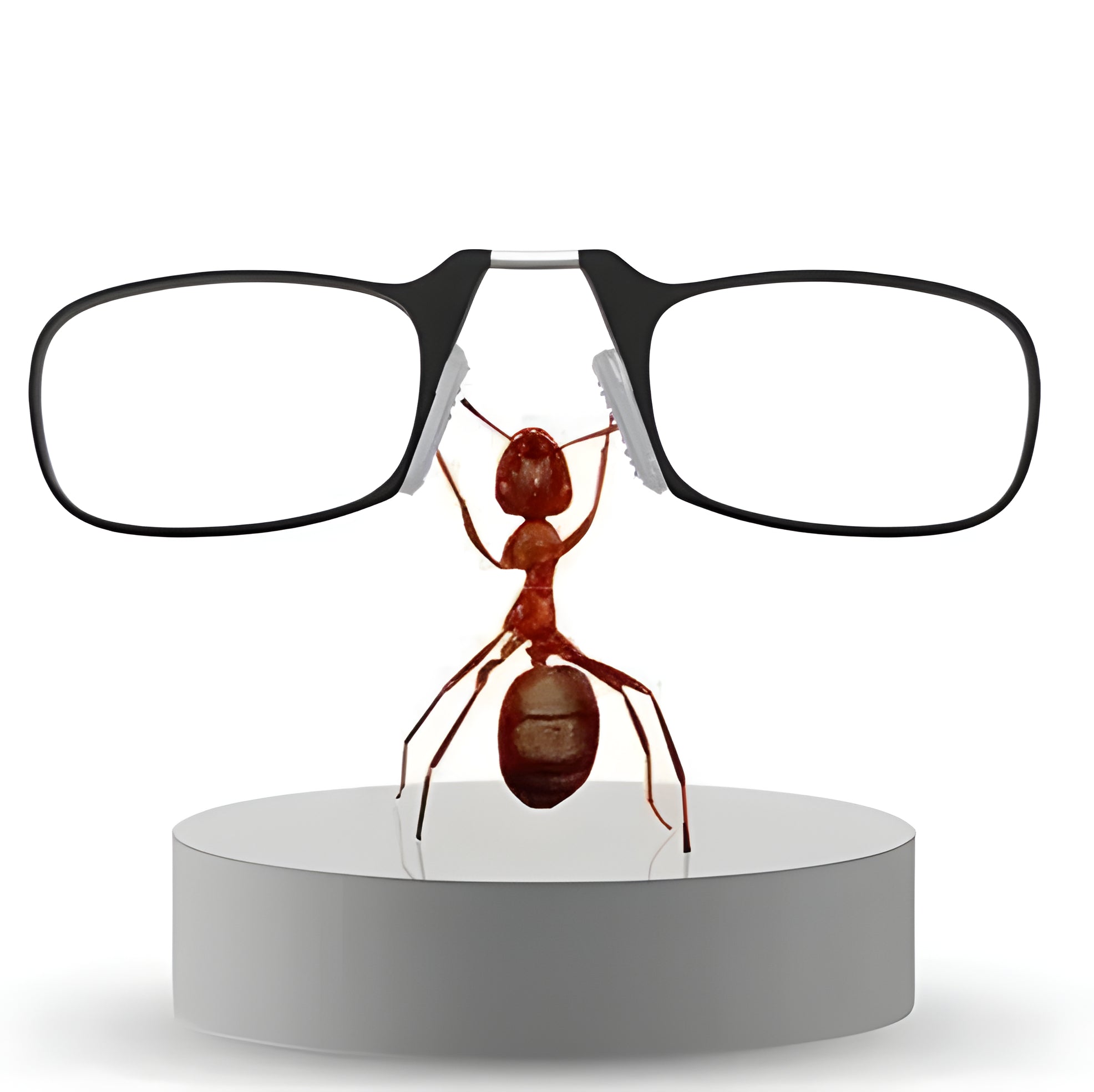 Compact and Versatile Reading Glasses