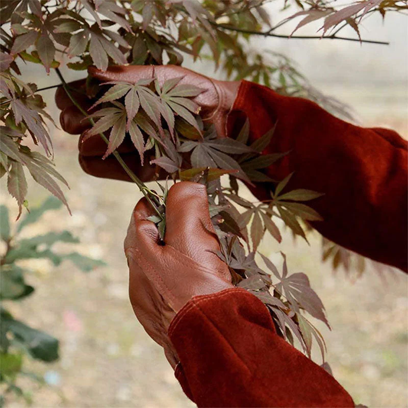 Essential Gardening Gloves for Ultimate Hand Comfort