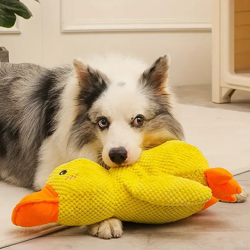 Soothing Quacker Plush Toy for Dogs