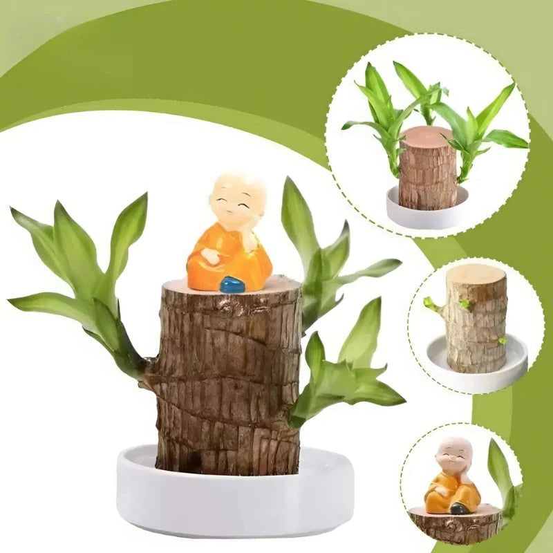 Serenity Green Air Purifying Plant