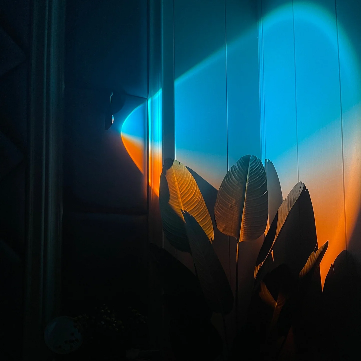 Stylish LED Wall Light with Gradient Glow for Indoor Spaces