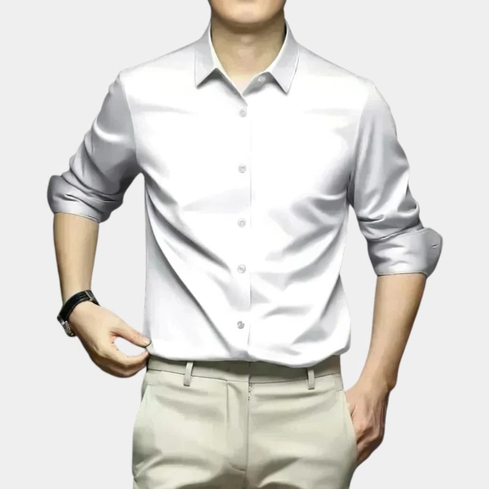 Essential No-Wrinkle Dress Shirt for Men