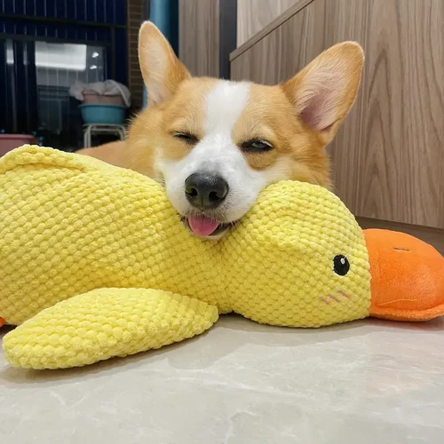 Soothing Quacker Plush Toy for Dogs
