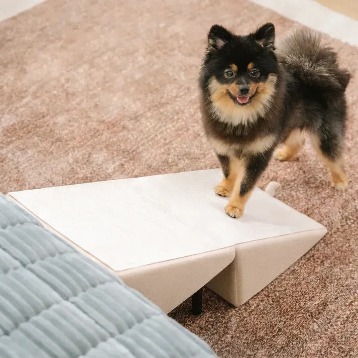 Versatile Pet Access Ramp and Step Stool