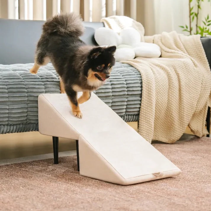 Versatile Pet Access Ramp and Step Stool