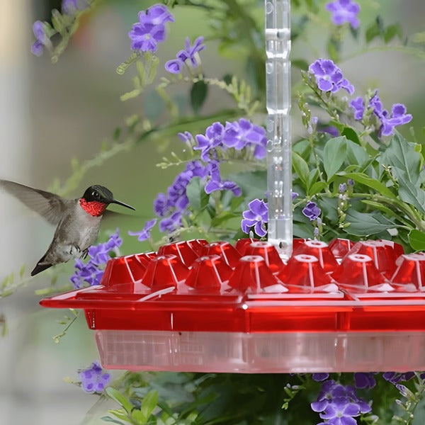 Deluxe Hummingbird Feeder with Integrated Ant Barrier