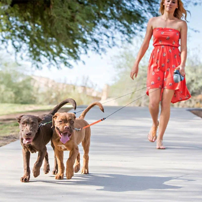 Smart Dual Dog Leash with Light & Cleanup Convenience