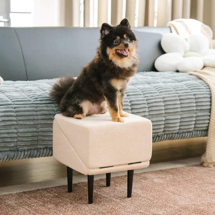 Versatile Pet Access Ramp and Step Stool