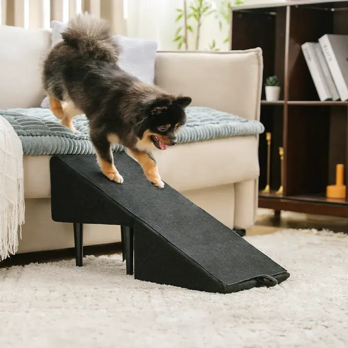 Versatile Pet Access Ramp and Step Stool
