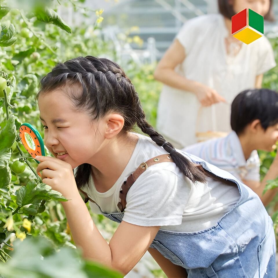 Young Explorer's Insect Discovery Set