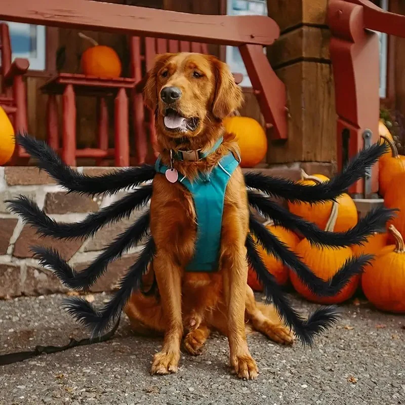 Whimsical Spider Outfit for Pets