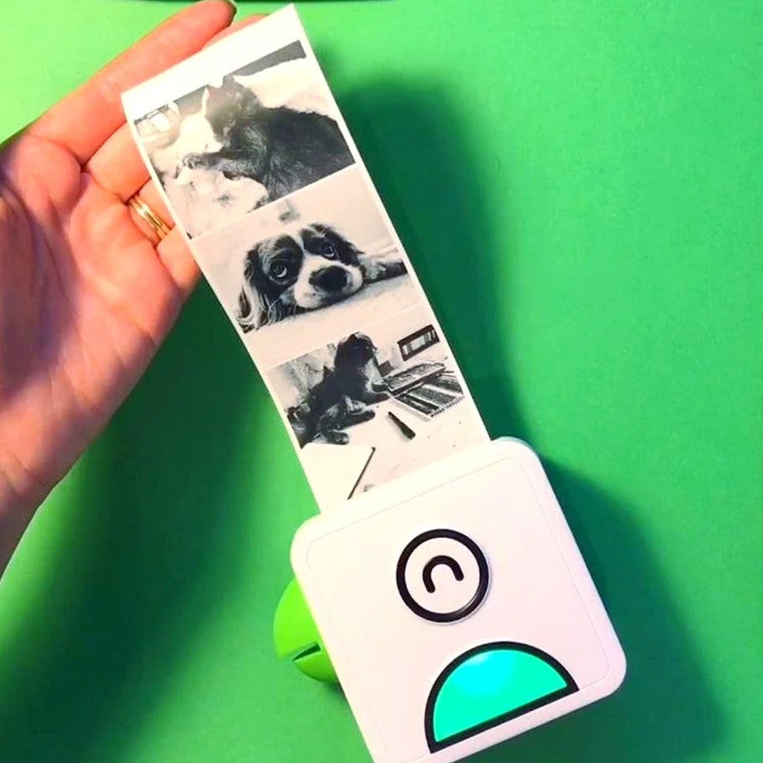 Portable Ink-Free Photo Printer