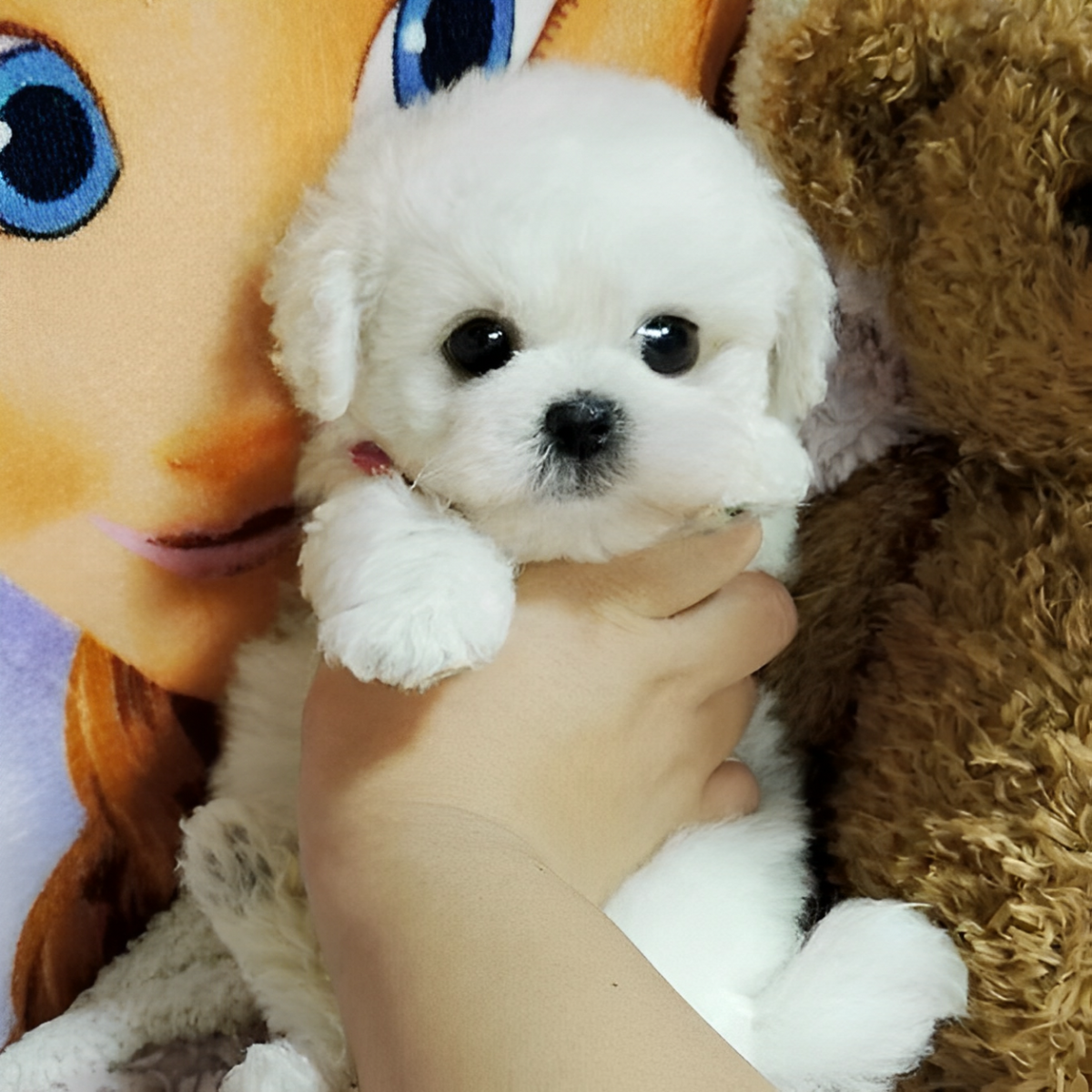 Cuddly Plush Canine Companion - Snuggles - Soft & Realistic