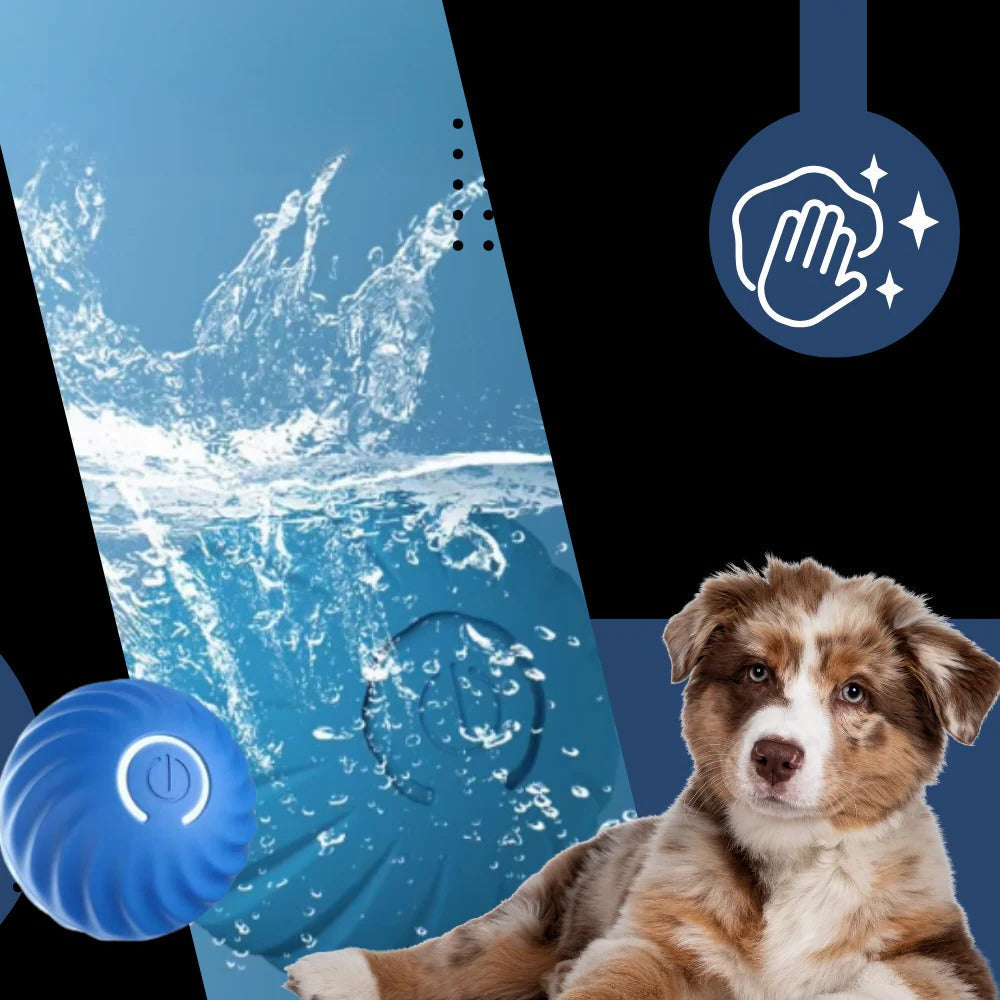 Self-Navigating Play Ball for Dogs
