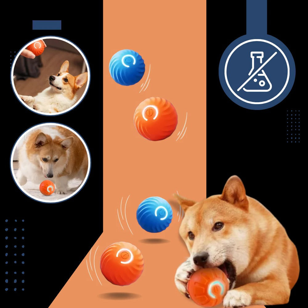 Self-Navigating Play Ball for Dogs