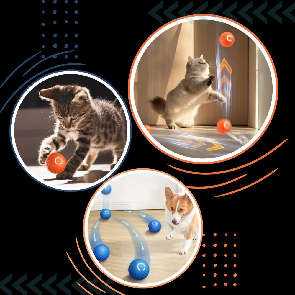 Self-Navigating Play Ball for Dogs