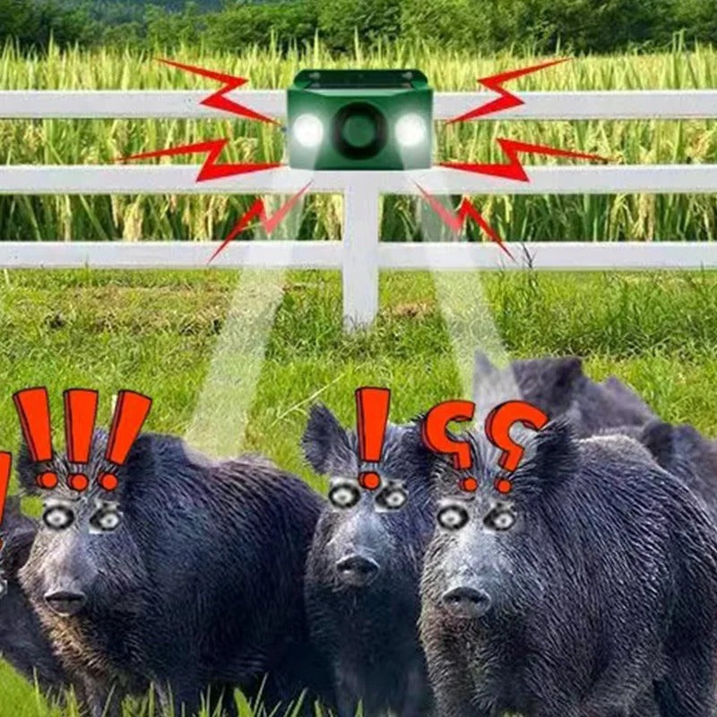 EcoGuard Solar Animal Deterrent Lights with Alarm System
