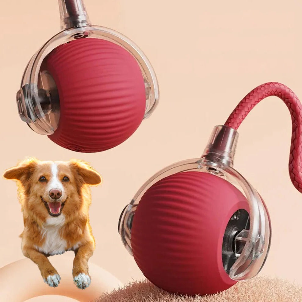 Dynamic Pet Play Ball with Interactive Tail
