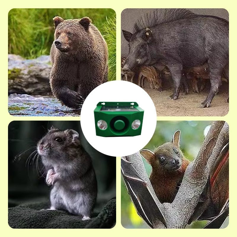 EcoGuard Solar Animal Deterrent Lights with Alarm System