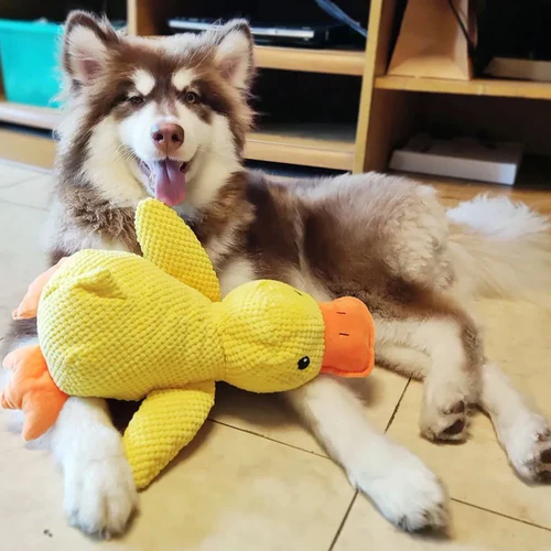 Soothing Quacker Plush Toy for Dogs