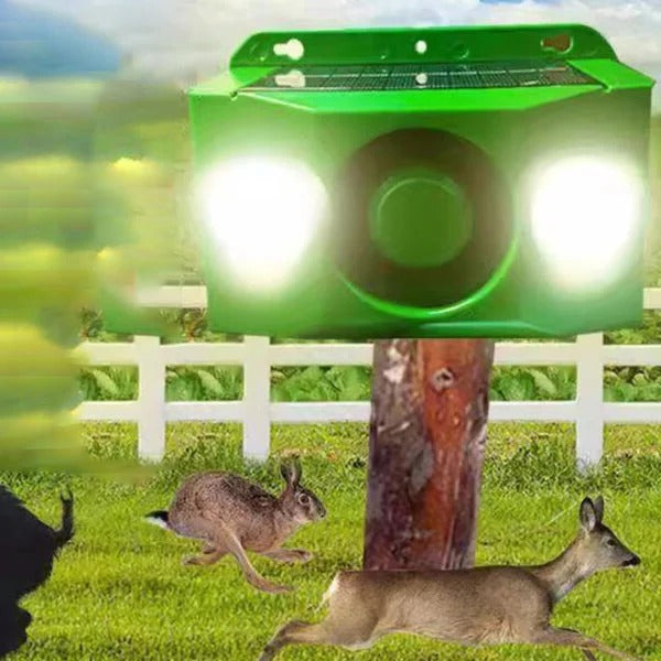 EcoGuard Solar Animal Deterrent Lights with Alarm System