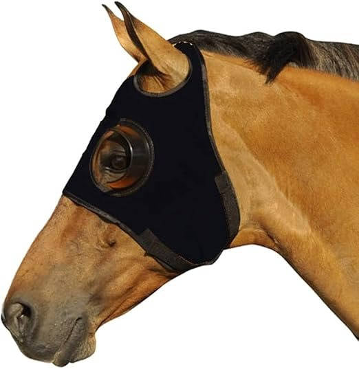 FocusGuard Horse Blinders for Training and Competition