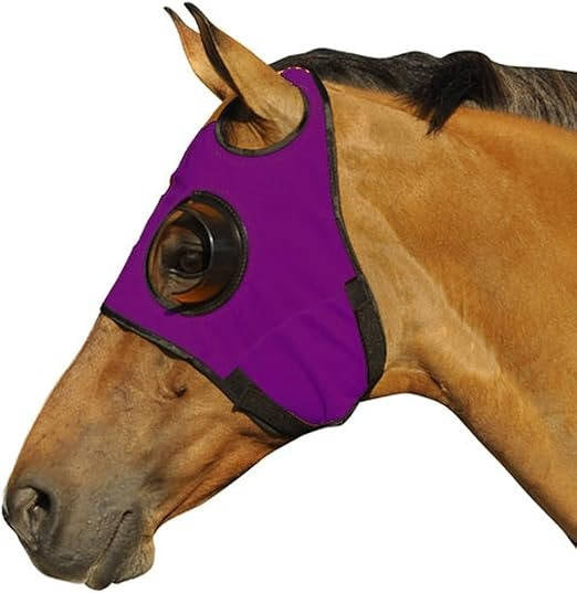 FocusGuard Horse Blinders for Training and Competition