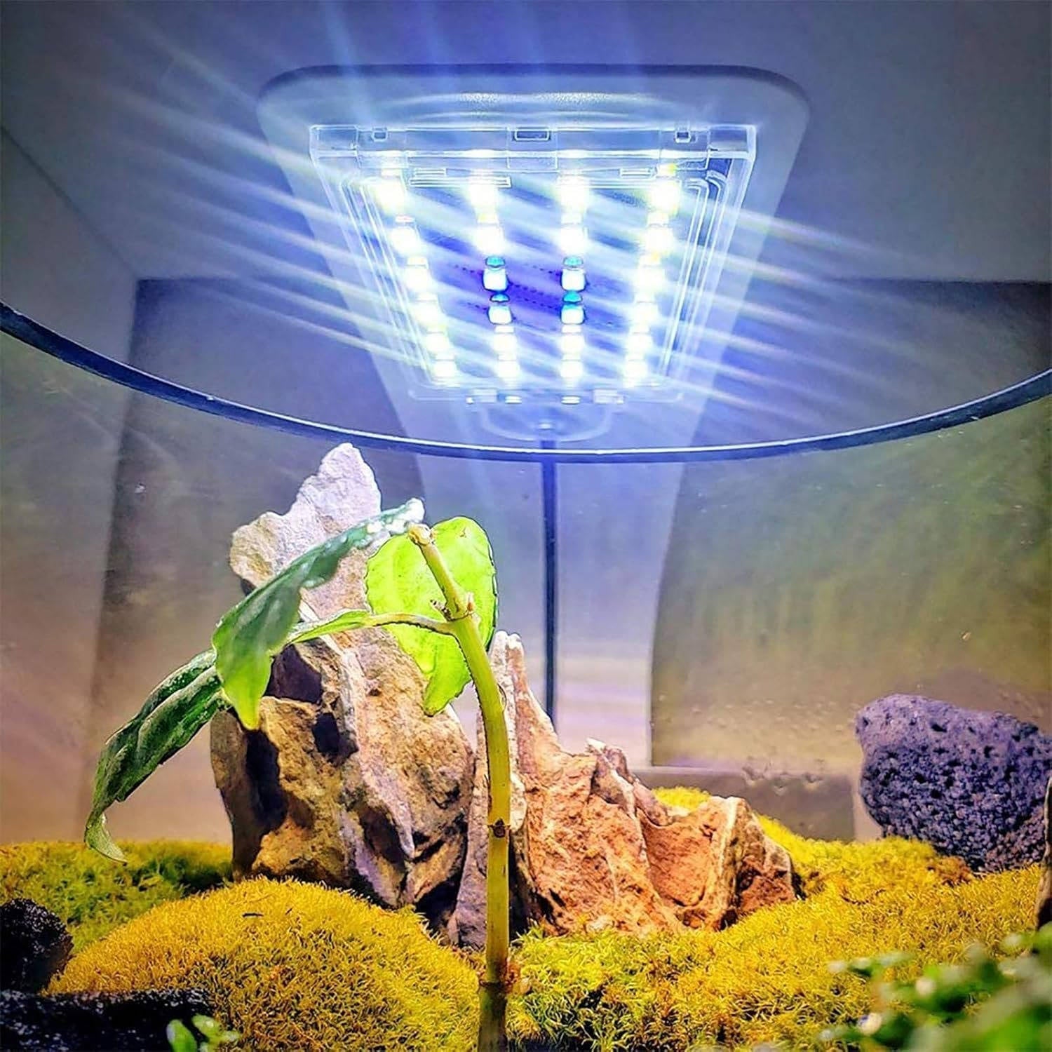 Ultra-Slim LED Aquarium Light for Vibrant Aquatic Life