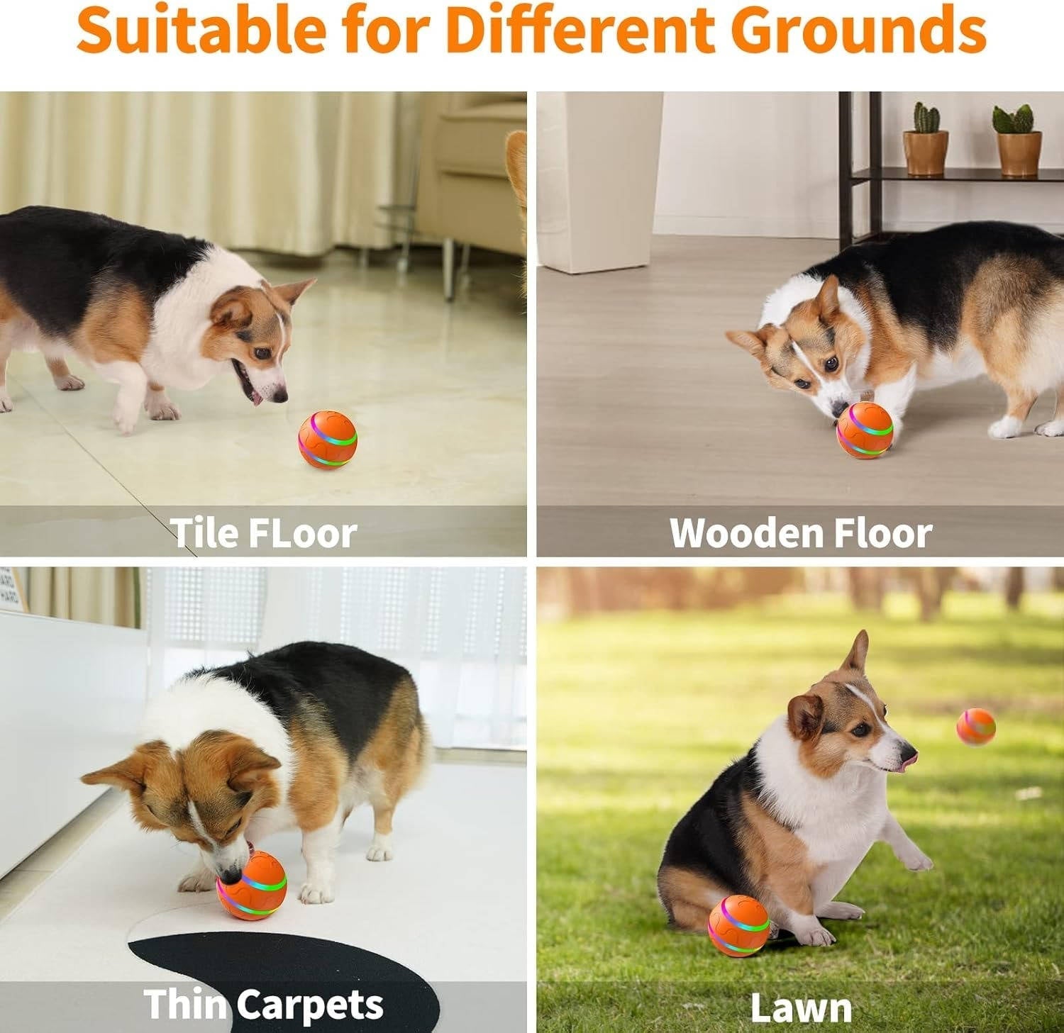 Smart Play Ball for Dogs