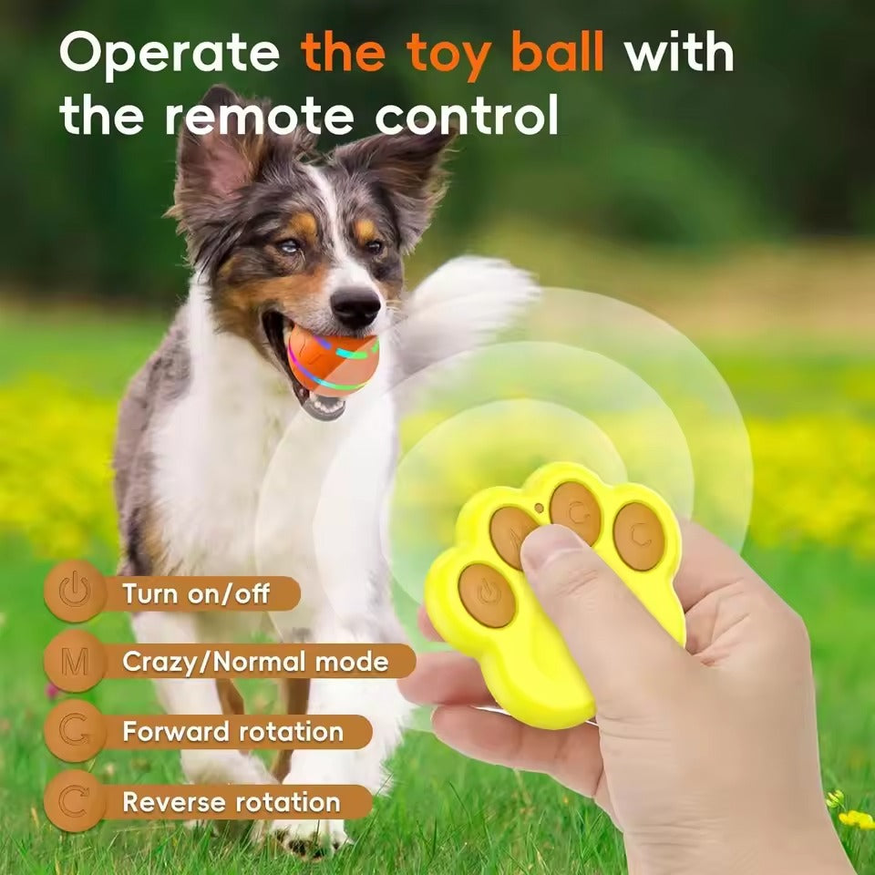 Smart Play Ball for Dogs