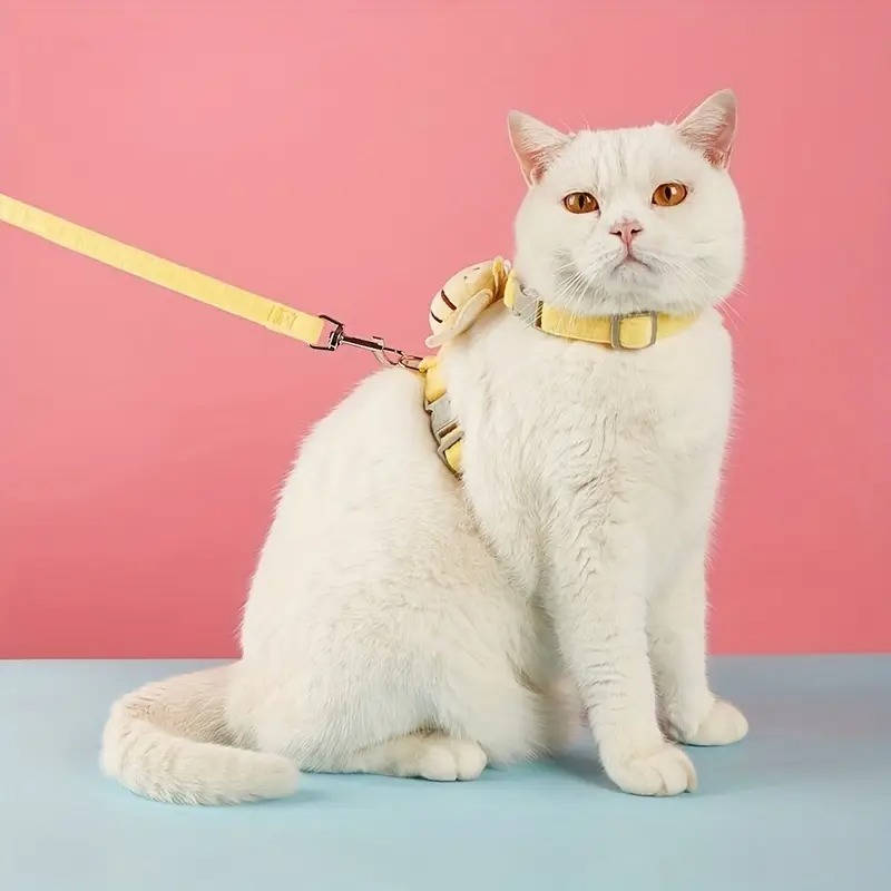 Adventurous Cat Vest and Leash Set