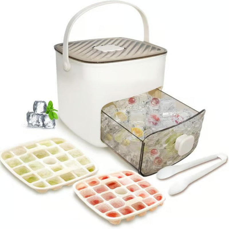 Multi-Functional Ice Maker and Storage Solution
