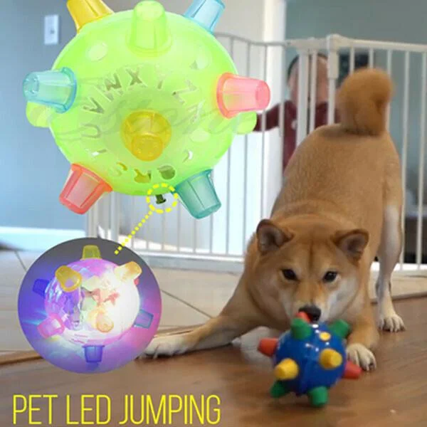 Interactive Bouncing Ball for Playful Dogs