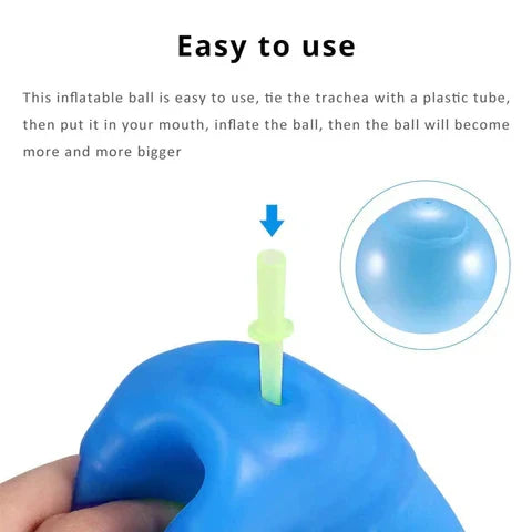 Inflatable Mega Fun Sphere
