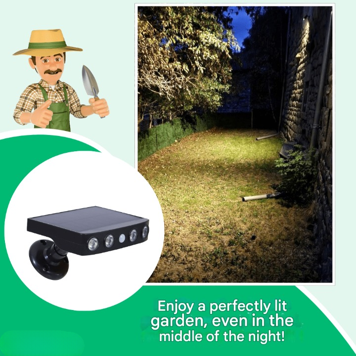 Motion Sensor Solar Garden Light