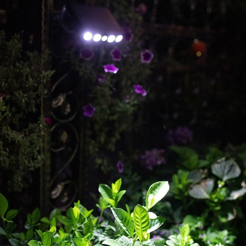 Motion Sensor Solar Garden Light