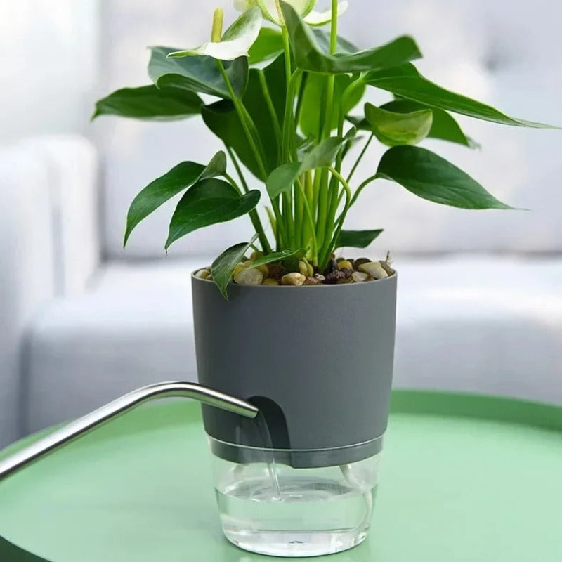 Automatic Hydration Planter for Indoor Plants