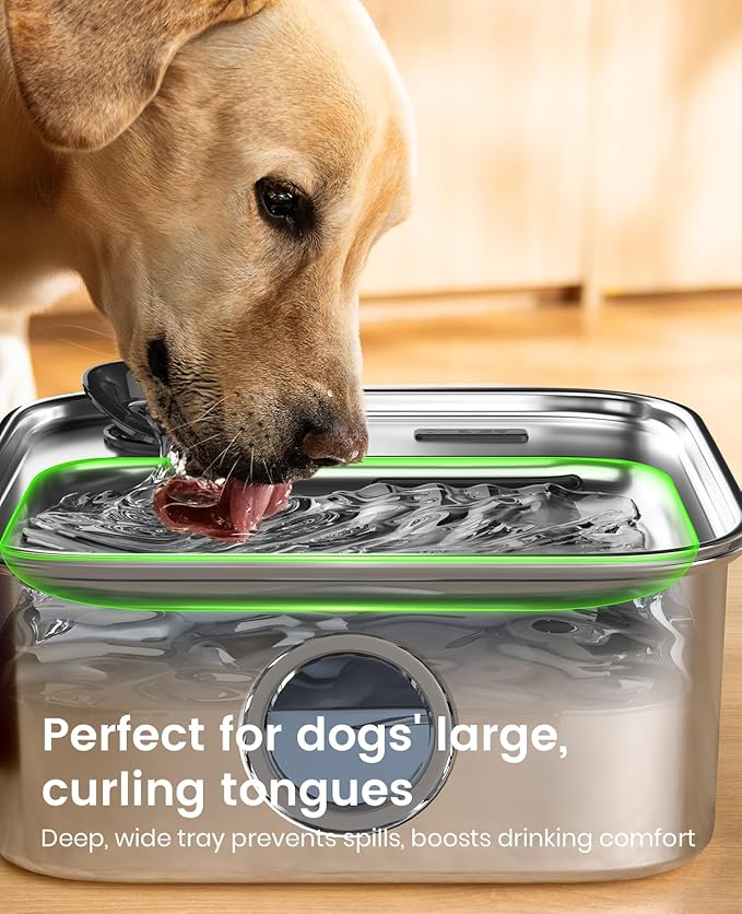 HydraPaw 10L Pet Water Fountain – 2.6 Gallon Stainless Steel Hydration Station