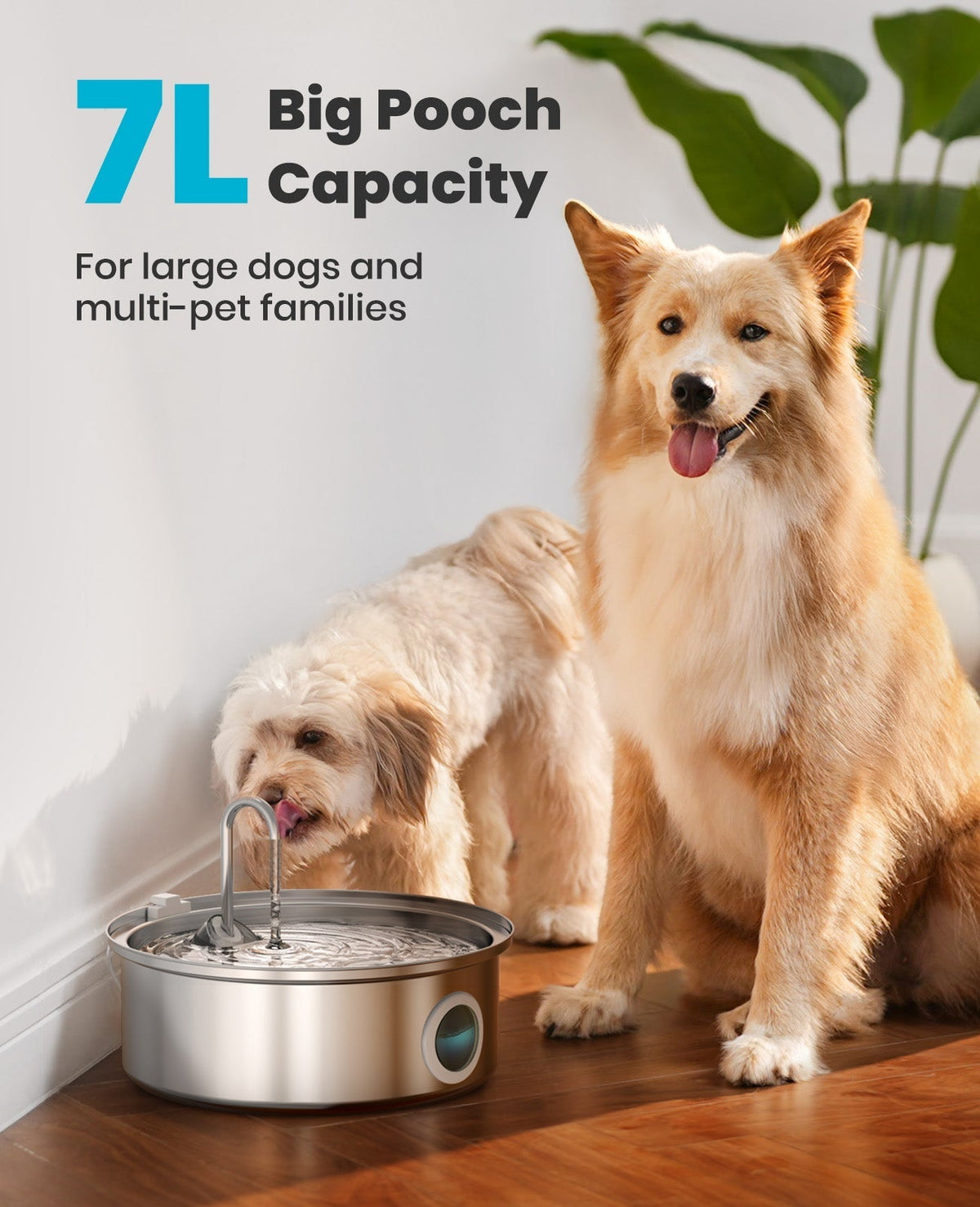 AquaFlow 7L Automatic Pet Water Dispenser – Stainless Steel Hydration Solution for Cats & Dogs