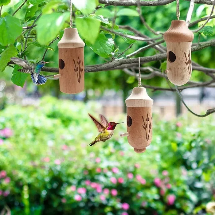 Charming Hummingbird Haven - Perfect for Nature Enthusiasts
