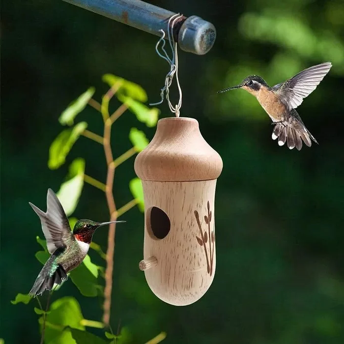 Charming Hummingbird Haven - Perfect for Nature Enthusiasts