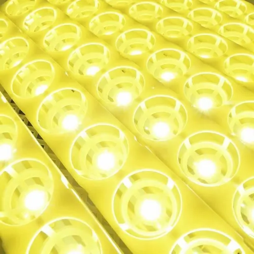 Smart Egg Hatching System for 24 Chicken and Quail Eggs