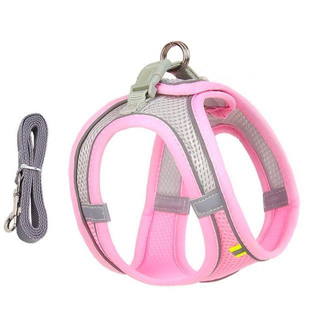 Comfort Fit Harness and Leash Bundle for Small Pets