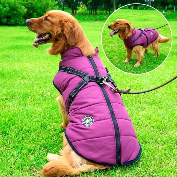Ultimate Waterproof Dog Coat - Insulated for Winter Comfort