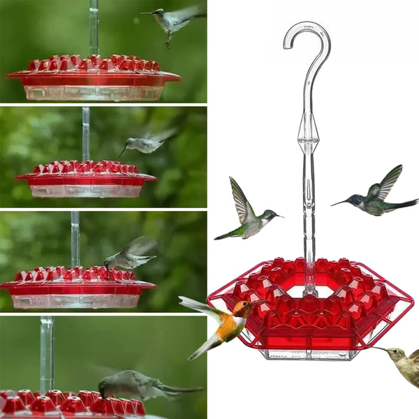 Weather-Resistant Hummingbird Feeder with 30 Nectar Ports