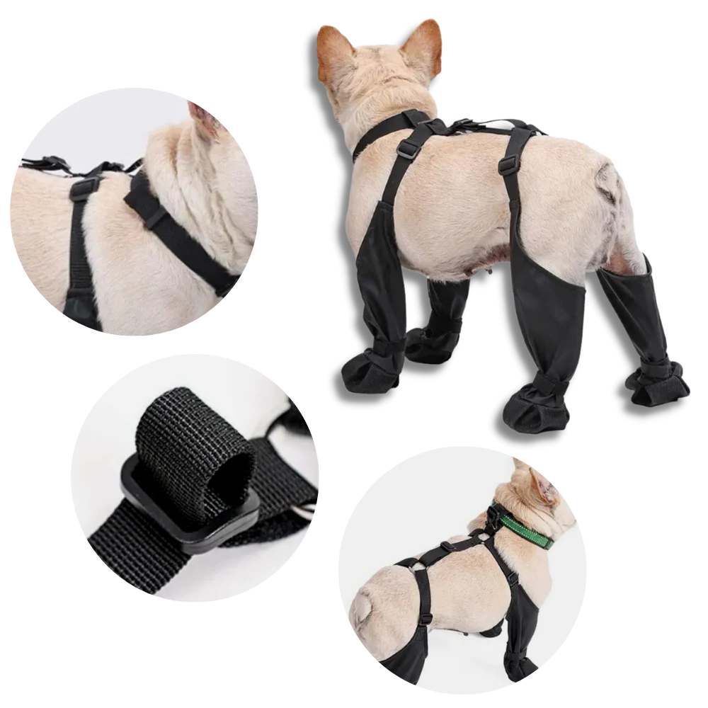 All-Weather Dog Support Boots with Adjustable Fit
