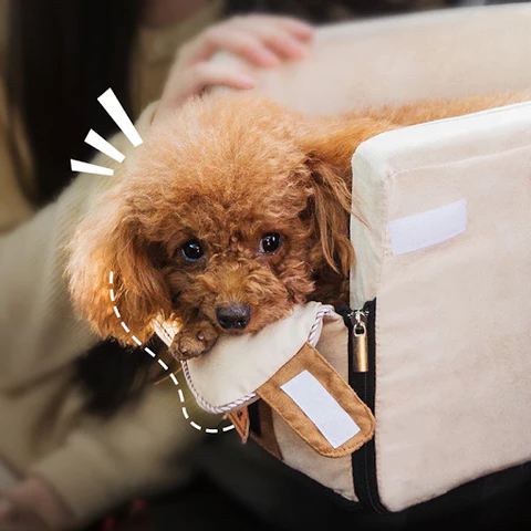 CozyPet Travel Seat - Secure Car Seat for Small Animals