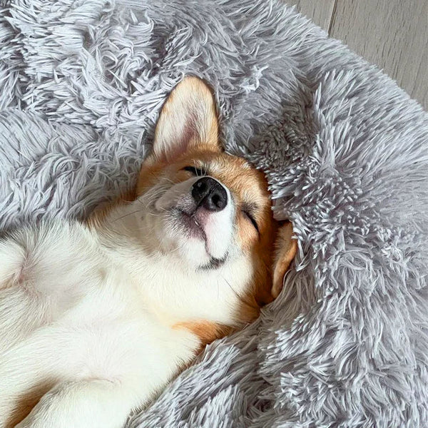 Serene Pet Haven Bed