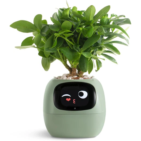 EcoSmart Planter - Your Ultimate Gardening Companion